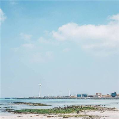 蓝龙岛中文版下载