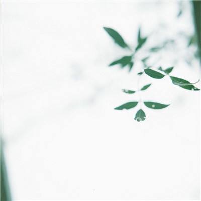 海战突袭游戏最新版下载